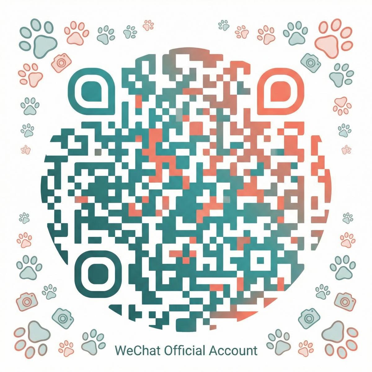 免费看片公众号二维码